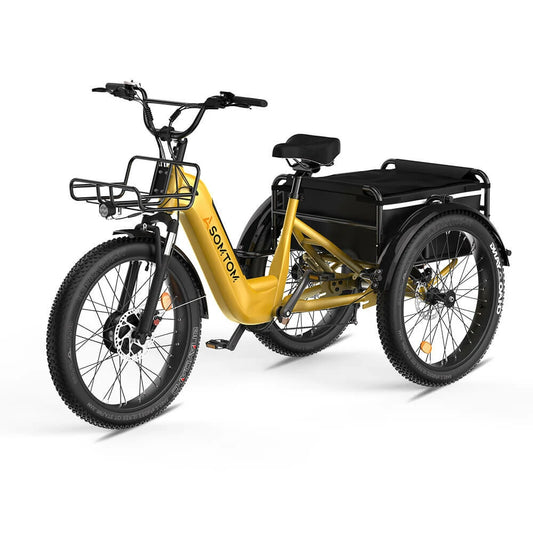 ASOMTOM WHALE Electric Three Wheel Bike 48V 15AH Battery 500W Motor 24inch Tires 50-65KM Max Mileage 210KG Max Load Electric Bicycle