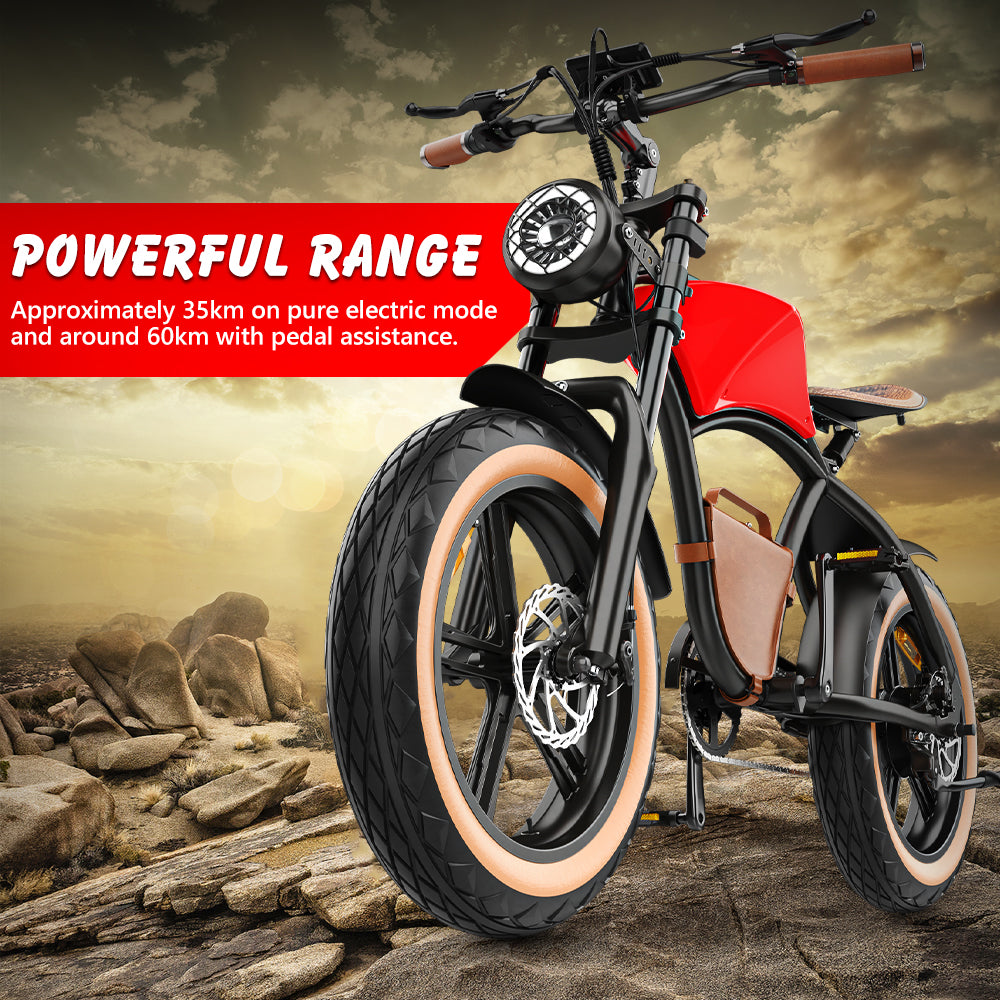 Hidoes HD-B10 Electric Bike 48V 12.5AH Battery 1000W Motor 20inch Tires 20-40KM Max Mileage 150KG Max Load eBike