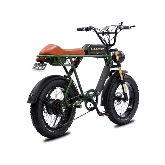 AKEZ S1 750W 48V 20 Inch Fat Tire Electric Bicycle Green