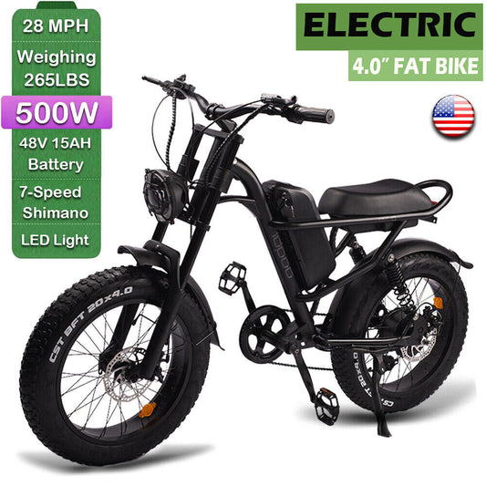 EMB009 New Design 500W Mountain Electric Bicycle/With Fat Tires 20''Ebike