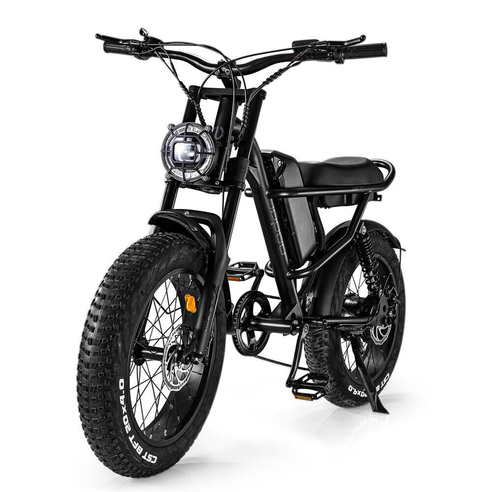 EMB009 New Design 500W Mountain Electric Bicycle/With Fat Tires 20''Ebike