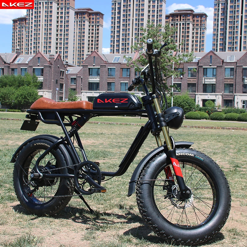 AKEZ S1 750W 48V 20 Inch Fat Tire Electric Bicycle Black