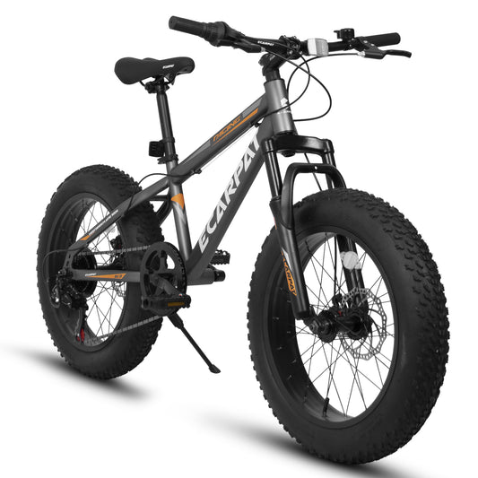 20 inch Fat Tire Bike Teen 7 Speed Mountain Bike, Dual Disc Brakes, High Carbon Steel Frame, Front Suspension, Mountain Dirt Bike, City Commuter City Bike, Fat Tire Bike