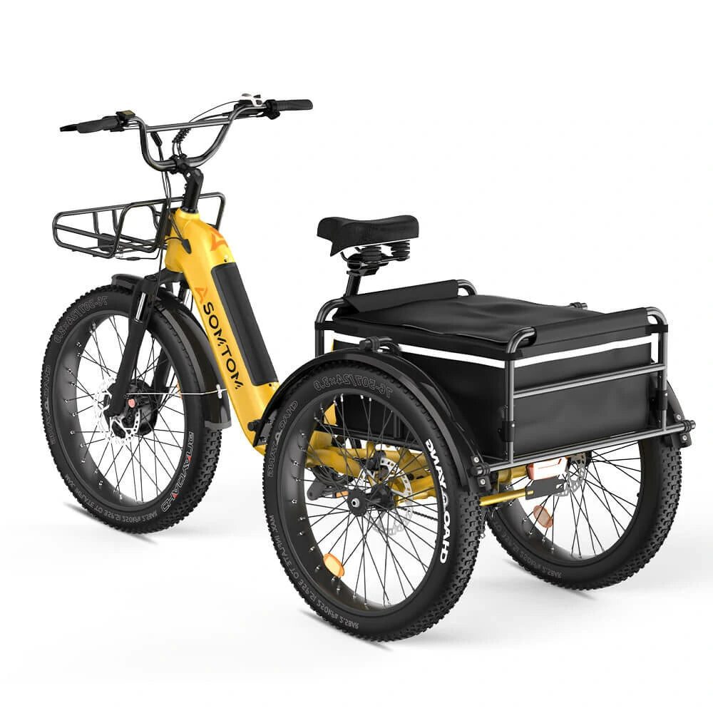 ASOMTOM WHALE Electric Three Wheel Bike 48V 15AH Battery 500W Motor 24inch Tires 50-65KM Max Mileage 210KG Max Load Electric Bicycle