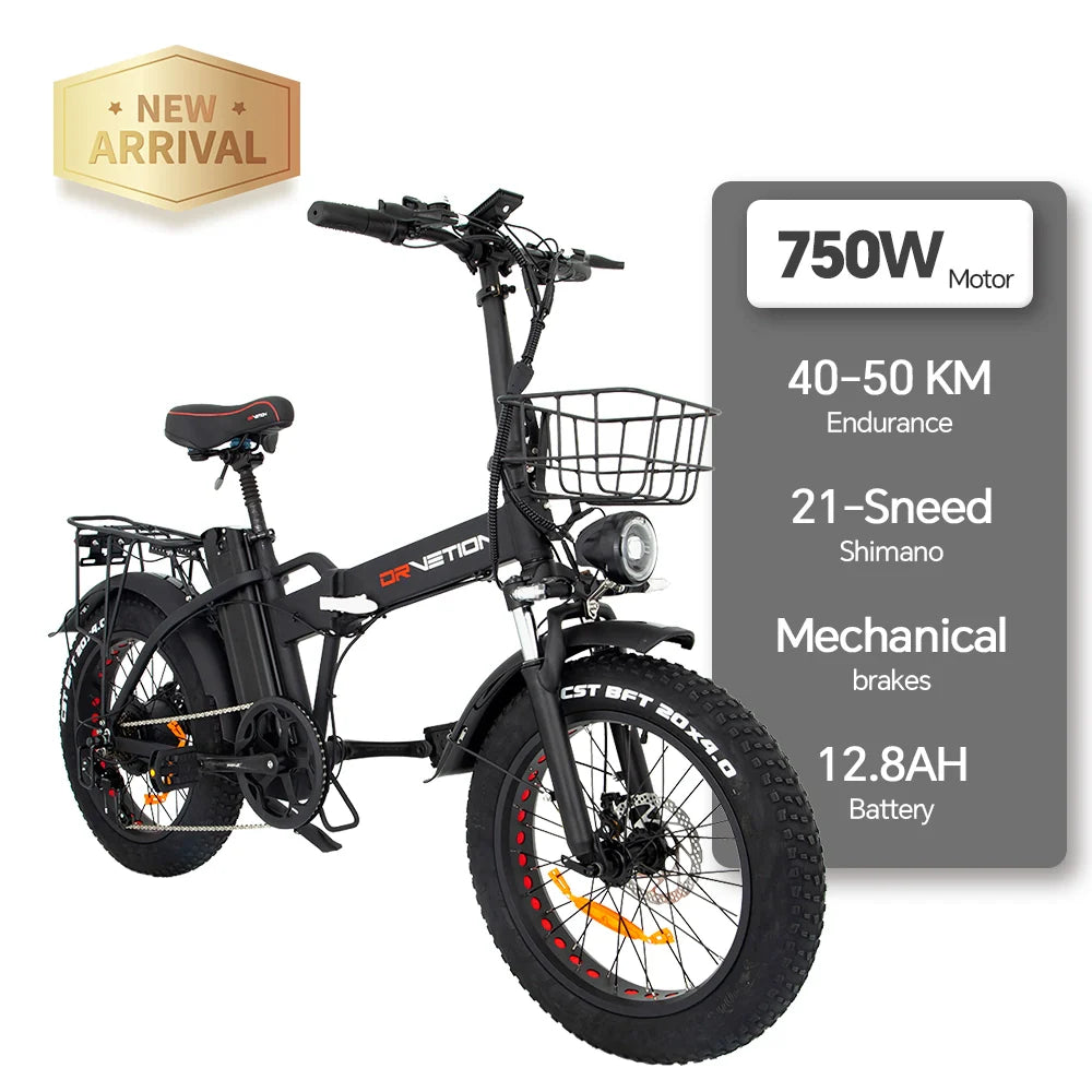 Dr. Vetion Folding Simple Fat Tire Electric 48V 15AH Lithium Battery eBike Black