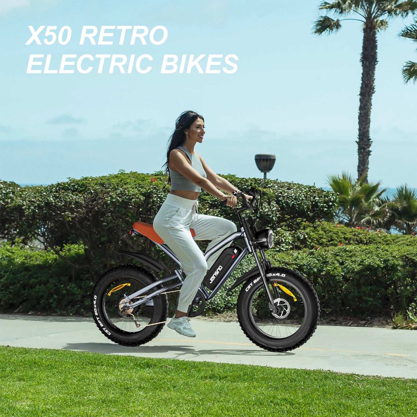 JANSNO Gray Electric Bike 20" x 4.0 Electric Bike with 750W Brushless Motor Long-Lasting 48V 14Ah Removable Battery